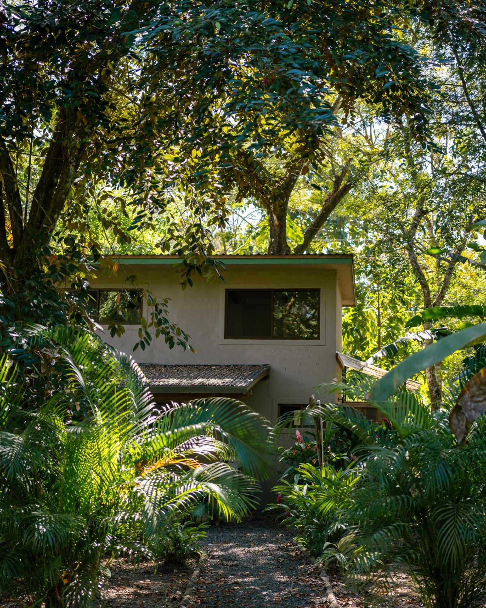 Feeling Trees Jungle Lodge Cabuya  Exterior foto