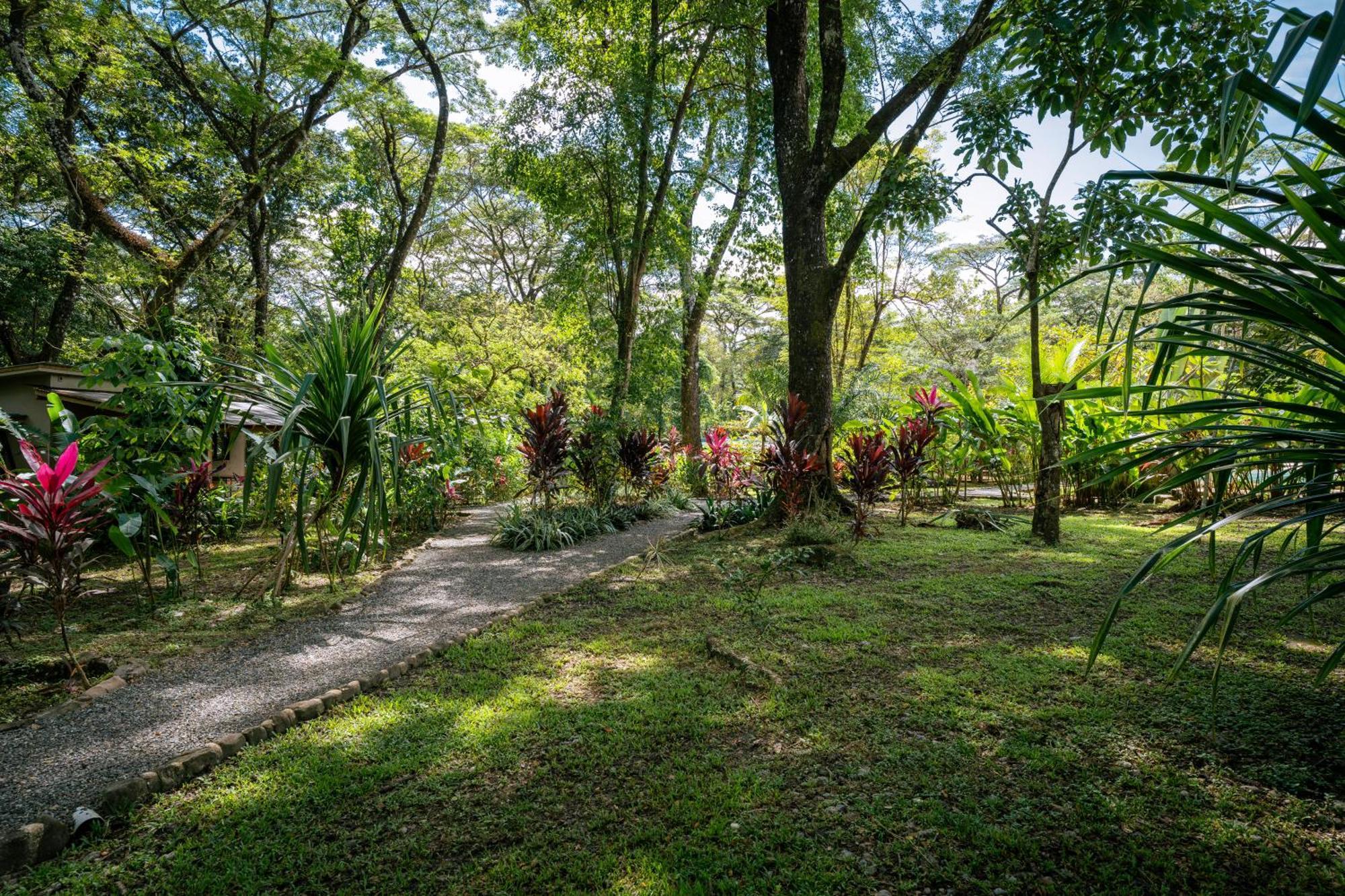 Feeling Trees Jungle Lodge Cabuya  Exterior foto