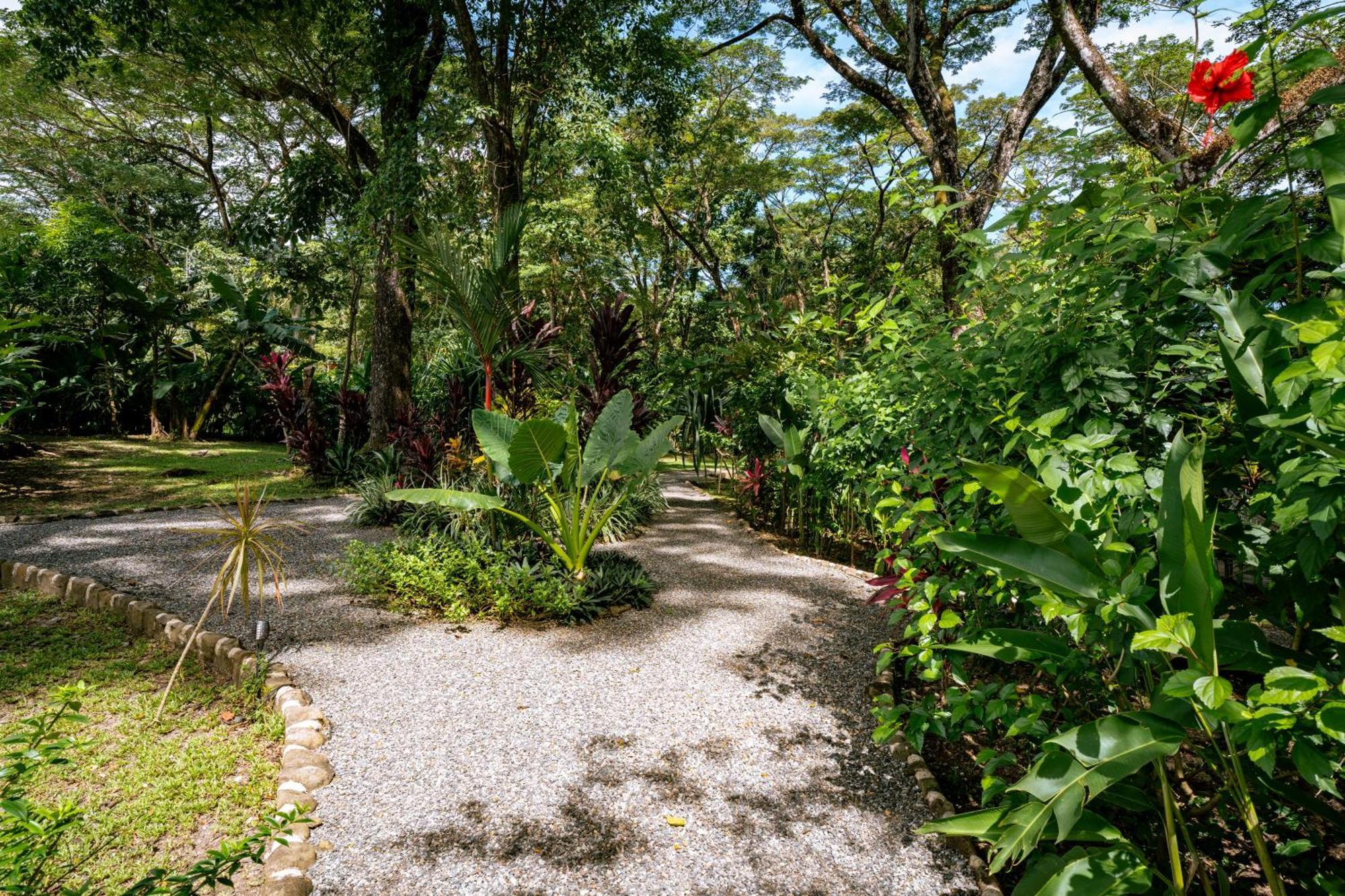 Feeling Trees Jungle Lodge Cabuya  Exterior foto