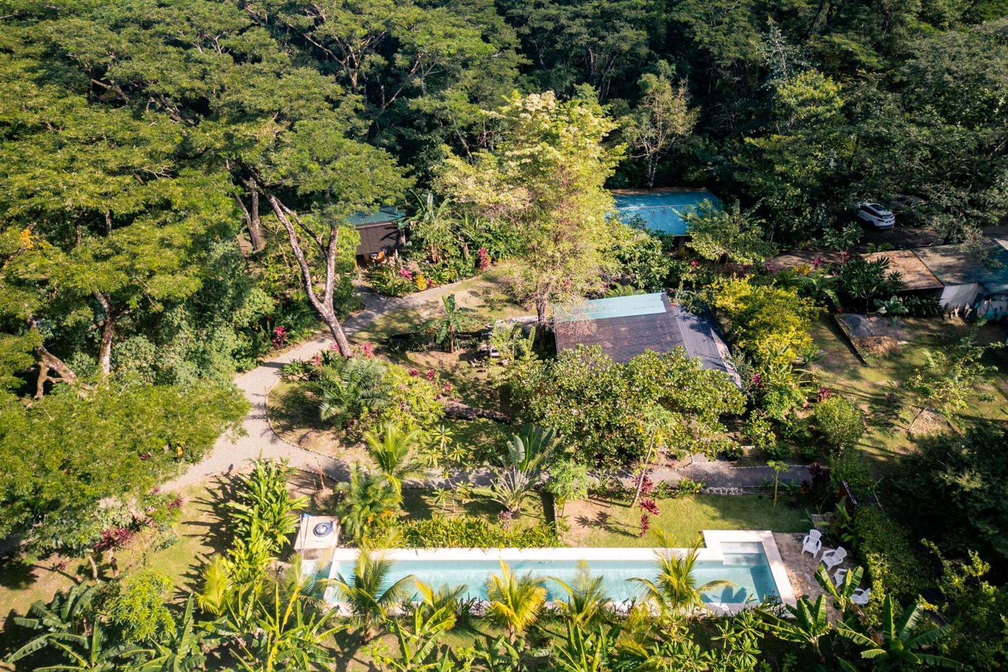 Feeling Trees Jungle Lodge Cabuya  Exterior foto